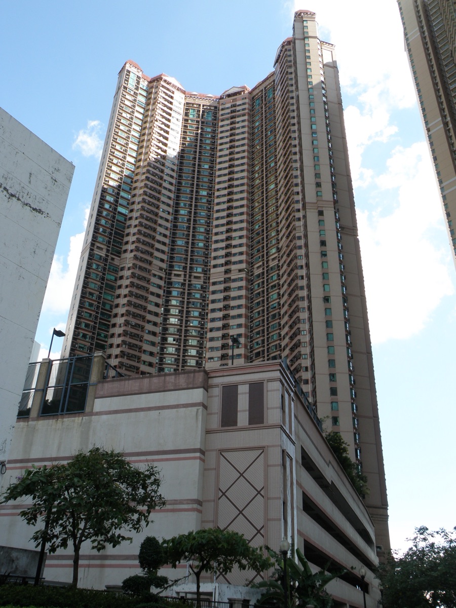 縉皇居 深井 放盤